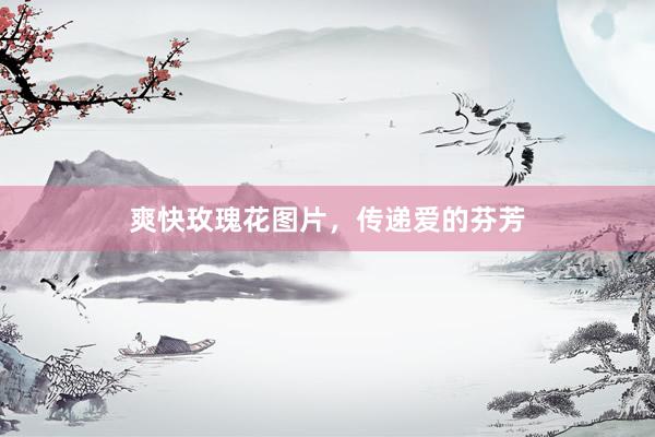 爽快玫瑰花图片，传递爱的芬芳