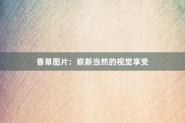 香草图片：崭新当然的视觉享受