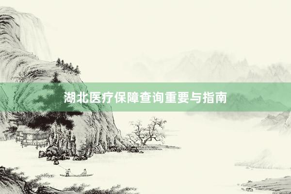 湖北医疗保障查询重要与指南