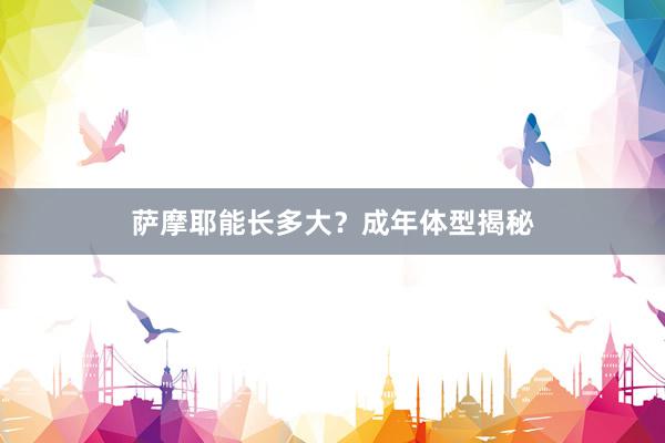 萨摩耶能长多大？成年体型揭秘